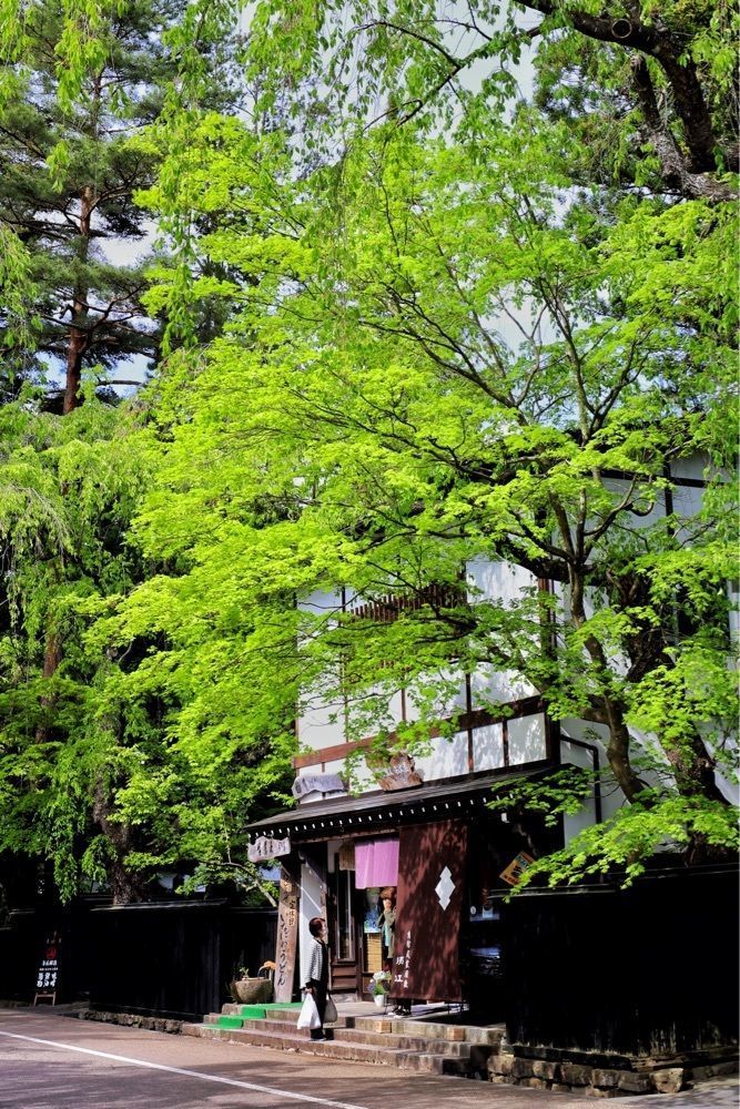 まさまさ　さまさんが投稿した仙北市立角館町平福記念美術館に関する口コミの画像