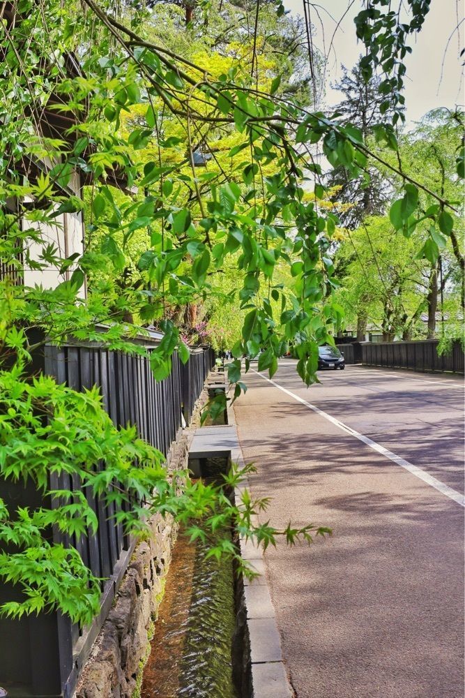 まさまさ　さまさんが投稿した仙北市立角館町平福記念美術館に関する口コミの画像