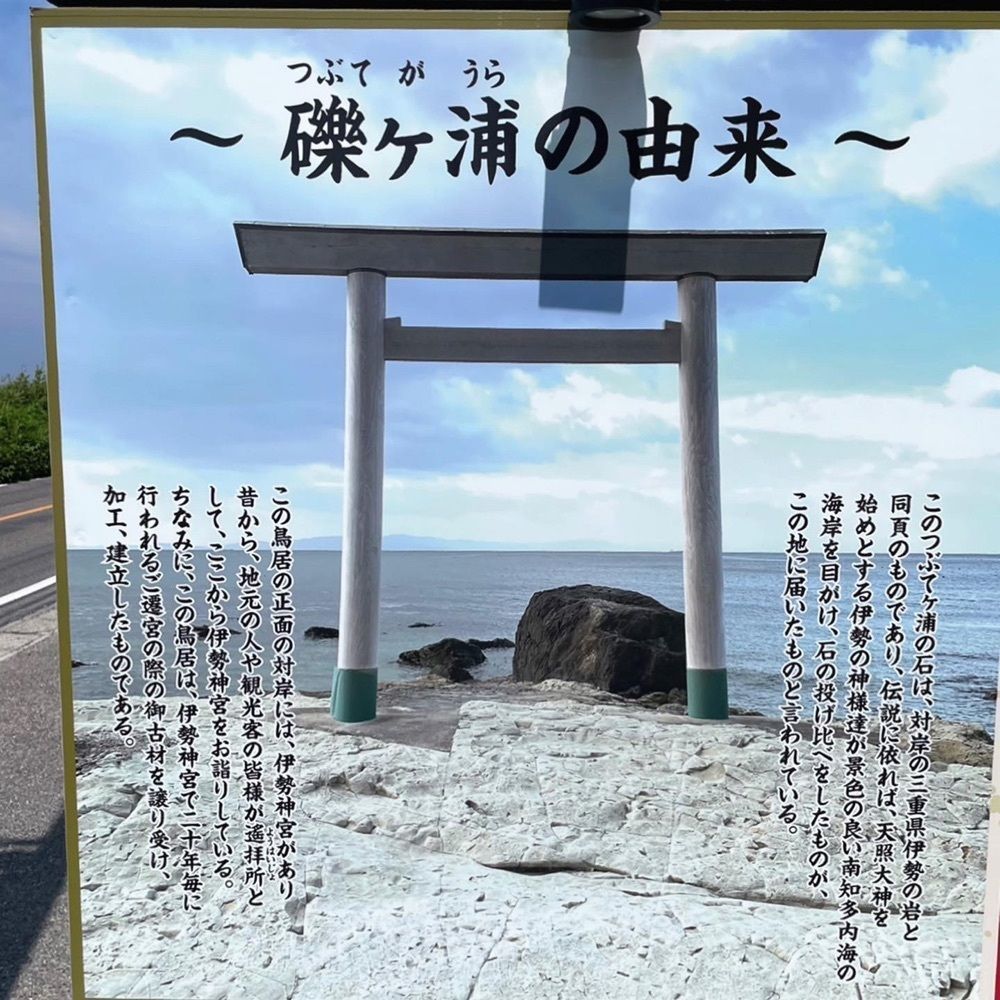 Mr. イリジウム シルバーさんが投稿した南知多町に関する口コミの画像