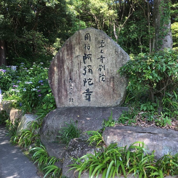 みーなさんが投稿した木造十一面観世音菩薩立像（阿弥陀寺）に関する口コミの画像