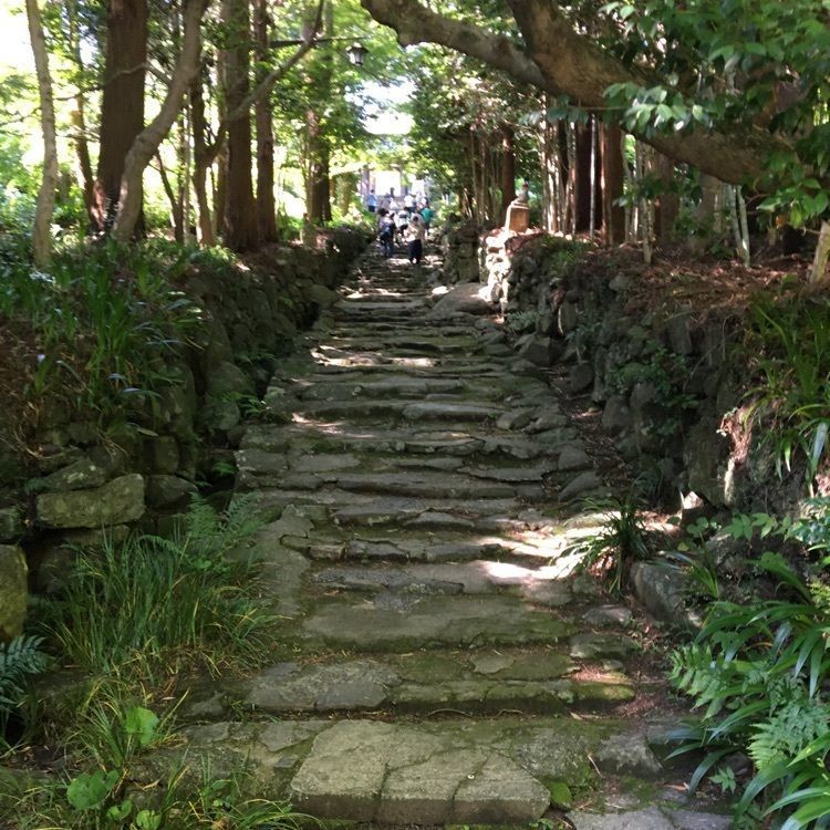 みーなさんが投稿した木造十一面観世音菩薩立像（阿弥陀寺）に関する口コミの画像