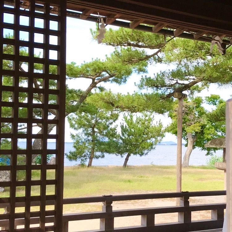 NBR OTさんが投稿した唐崎の松に関する口コミの画像