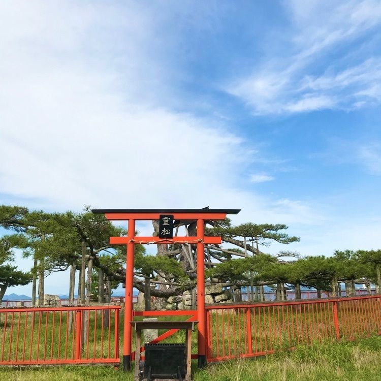 NBR OTさんが投稿した唐崎の松に関する口コミの画像