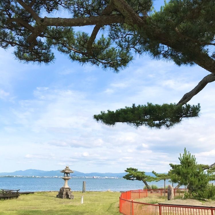 NBR OTさんが投稿した唐崎の松に関する口コミの画像