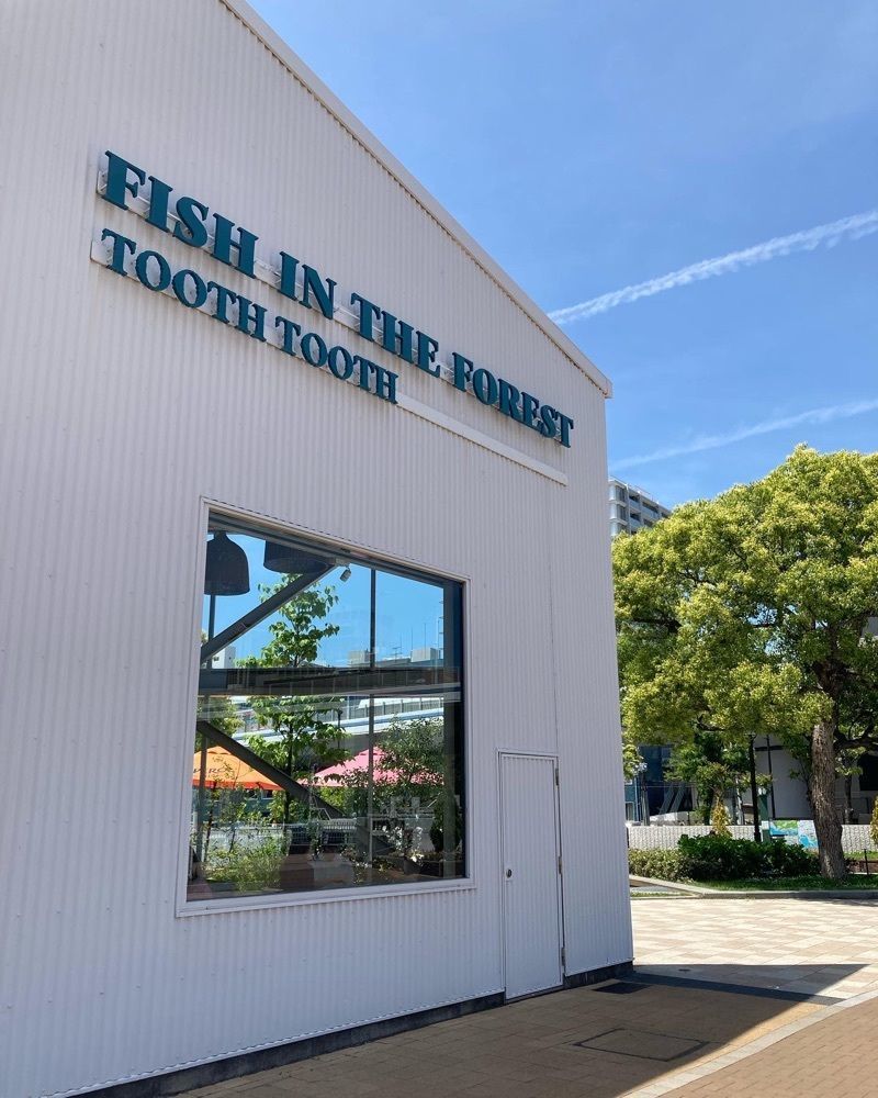 チーかまさんが投稿したTOOTH TOOTH FISH IN THE FORESTに関する口コミの画像