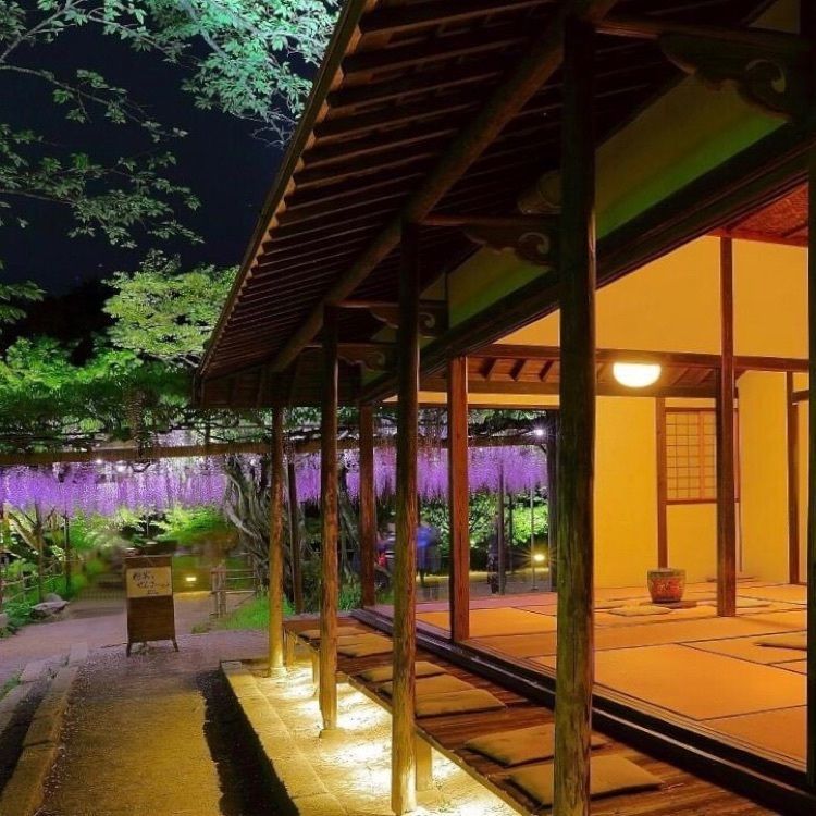 ＤＪゴン太さんが投稿した御船山楽園の藤に関する口コミの画像