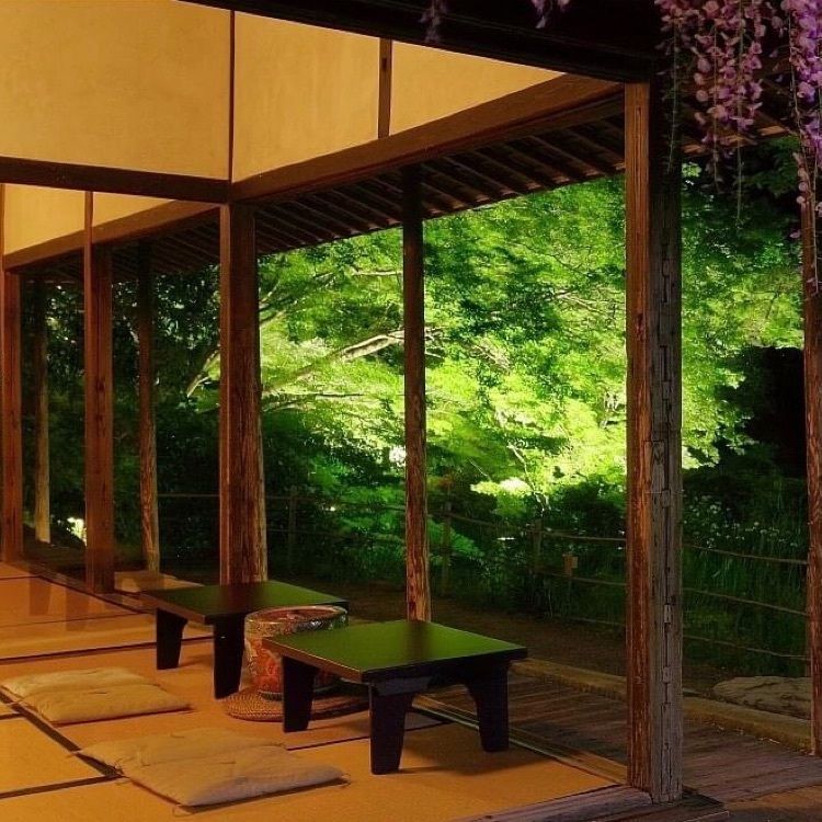 ＤＪゴン太さんが投稿した御船山楽園の藤に関する口コミの画像