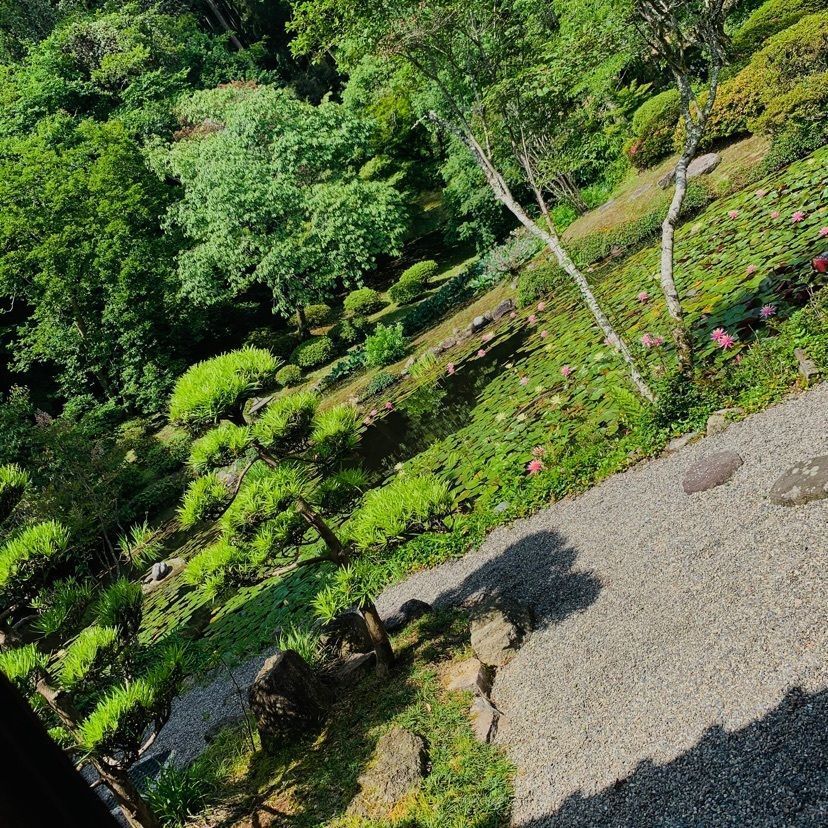 檸檬紅茶さんが投稿した永国寺に関する口コミの画像