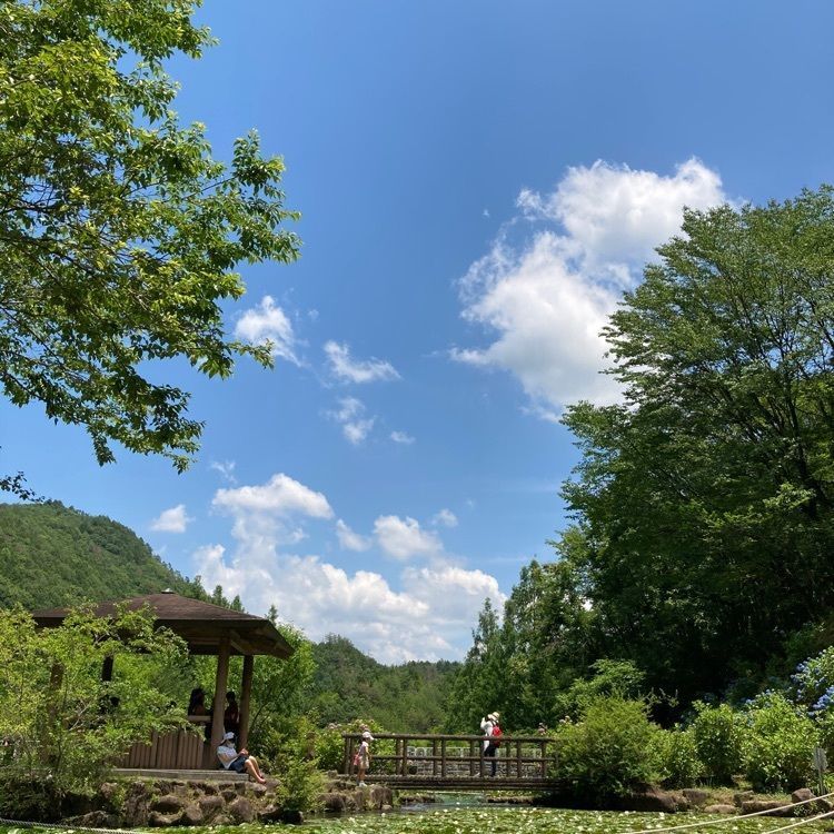 kimiko fujitaさんが投稿した里山カフェ ユニバーサル（UNIVERSAL）に関する口コミの画像