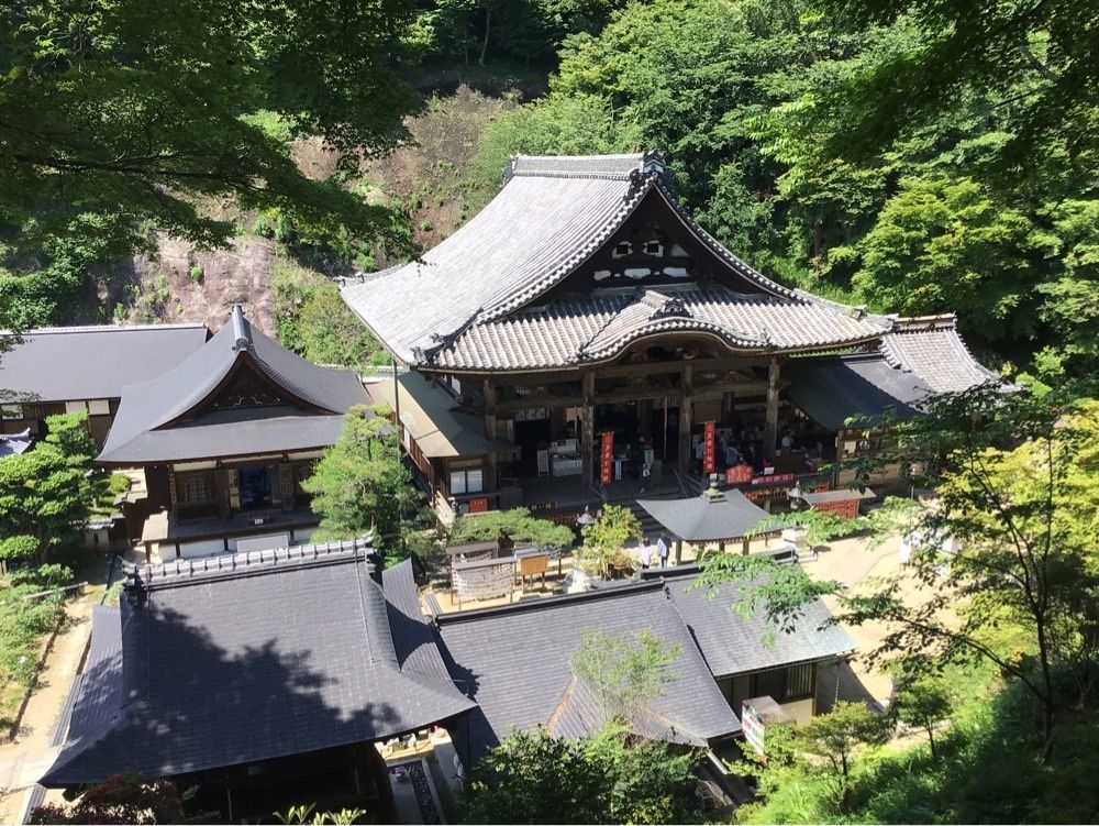 shin-emonさんさんが投稿した岡寺の石楠花に関する口コミの画像