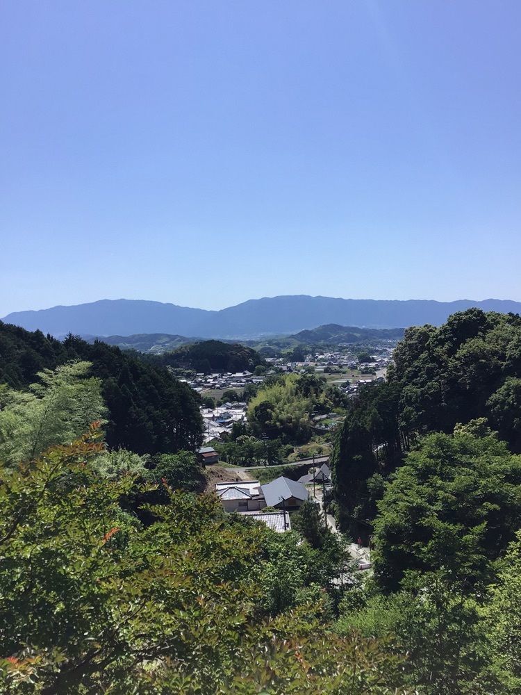 shin-emonさんさんが投稿した岡寺の石楠花に関する口コミの画像