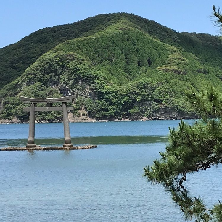 ゆきのびさんが投稿した烏帽子岳展望所に関する口コミの画像