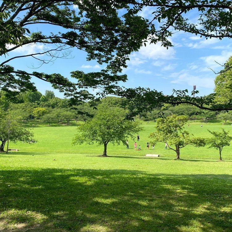 Rhapsodyさんが投稿したドトールコーヒーショップ エッソ春日公園店に関する口コミの画像