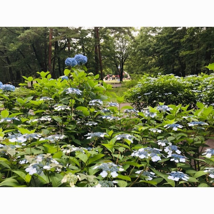Hy0804さんが投稿した那須野が原公園に関する口コミの画像