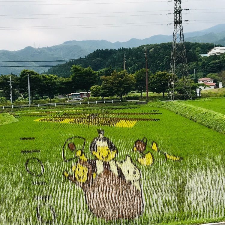 Hy0804さんが投稿したアグリパル塩原 農産物直売所に関する口コミの画像