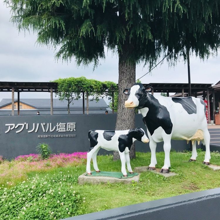Hy0804さんが投稿したアグリパル塩原 農産物直売所に関する口コミの画像