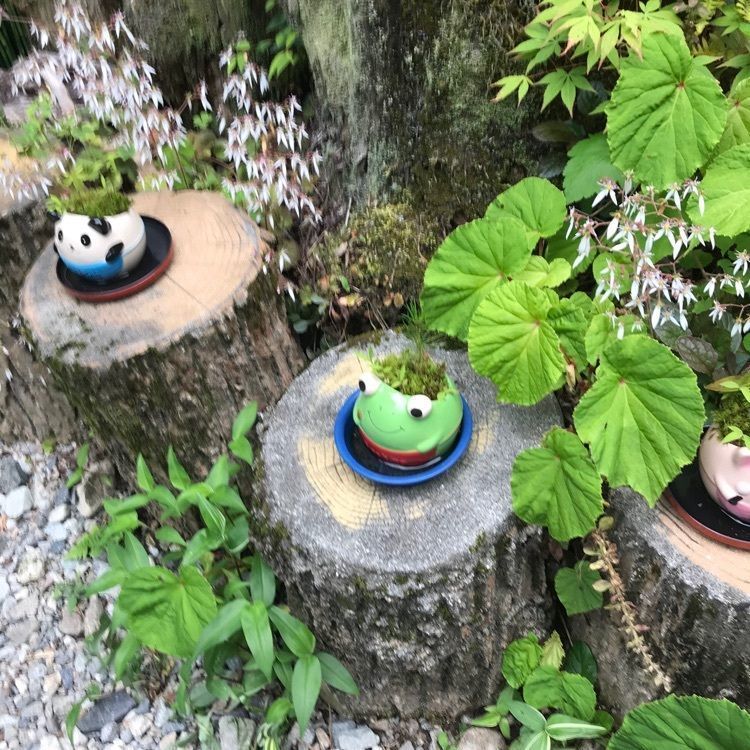 ✨💫momo✨💫✧さんが投稿した仙樽の滝に関する口コミの画像