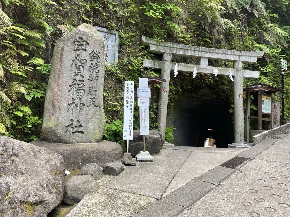 fumiの画像