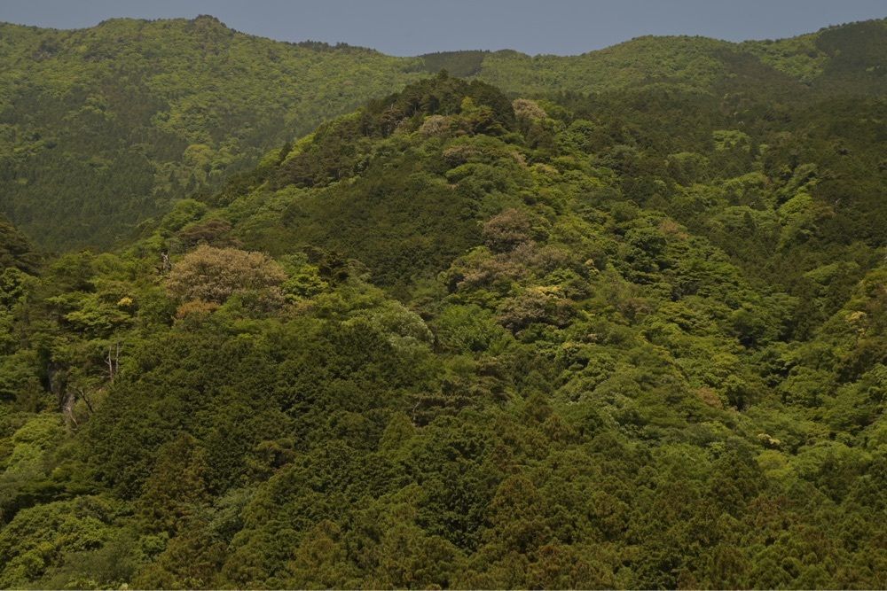 佳さんが投稿した新居浜温泉 望洋荘に関する口コミの画像