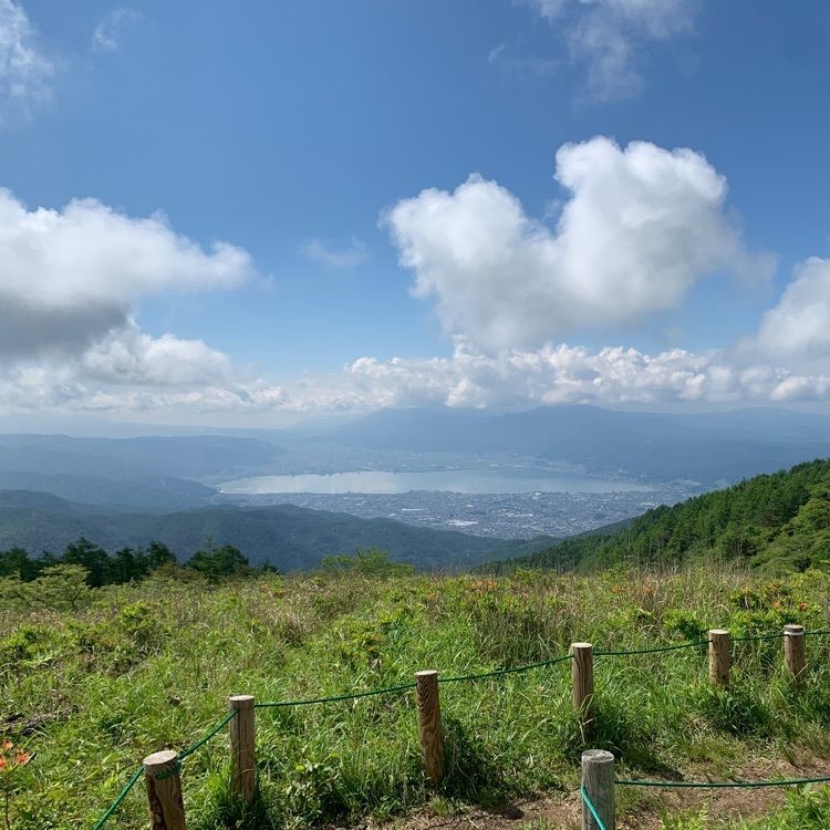 Howl Monさんが投稿した高ボッチ高原のレンゲツツジに関する口コミの画像