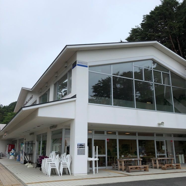 michikoの画像