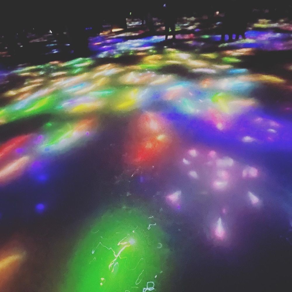 yoko_tokyoiventlifeの画像