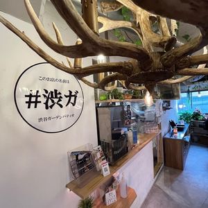 渋谷ガーデンパティオ 4枚目