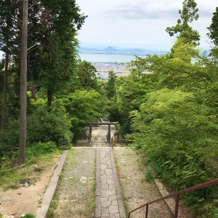NBR OTさんが投稿した日吉東照宮に関する口コミの画像