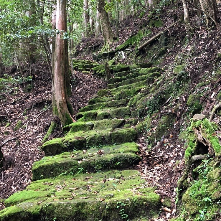 Hamachiさんが投稿した妙法山に関する口コミの画像