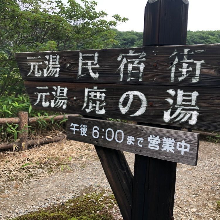 Jineiさんが投稿した元湯鹿の湯に関する口コミの画像
