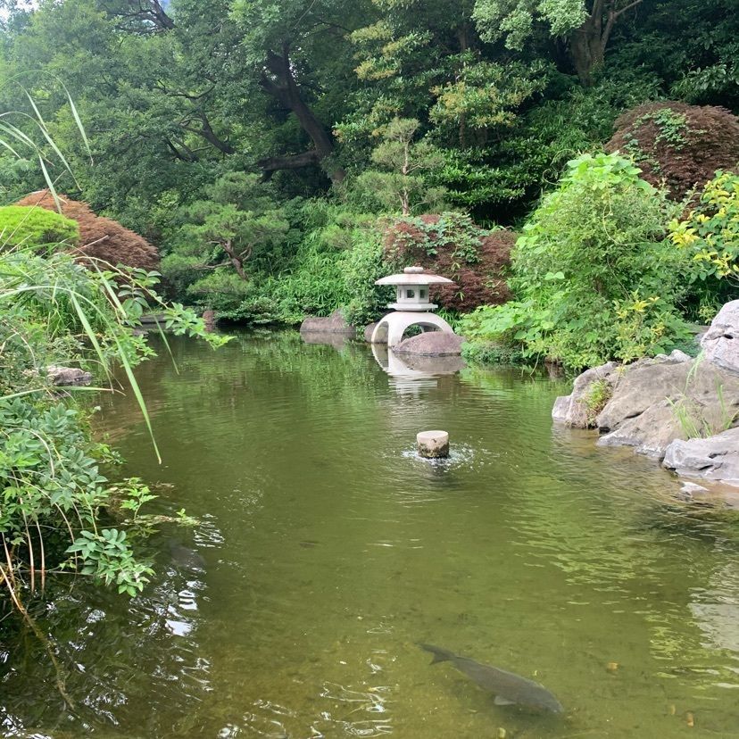 odeka-Kさんが投稿した菅刈公園に関する口コミの画像