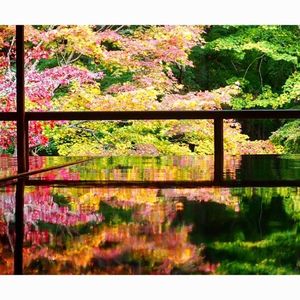 瑠璃光院