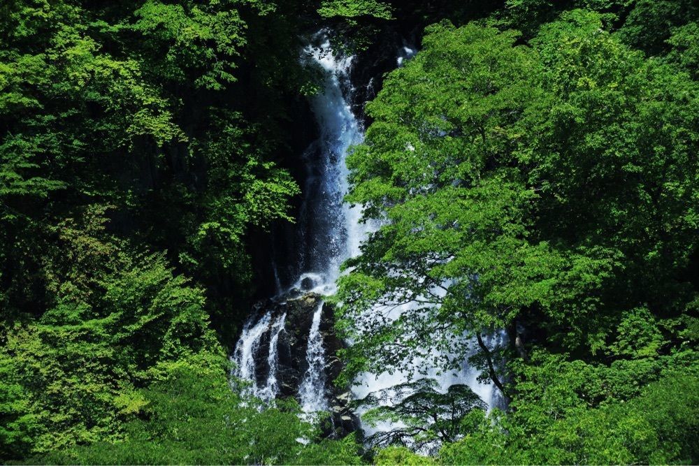 まさまさ　さまさんが投稿した霧降滝に関する口コミの画像