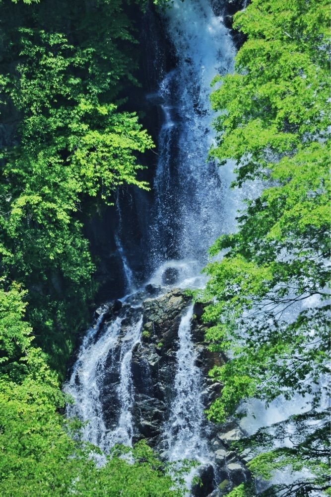 まさまさ　さまさんが投稿した霧降滝に関する口コミの画像