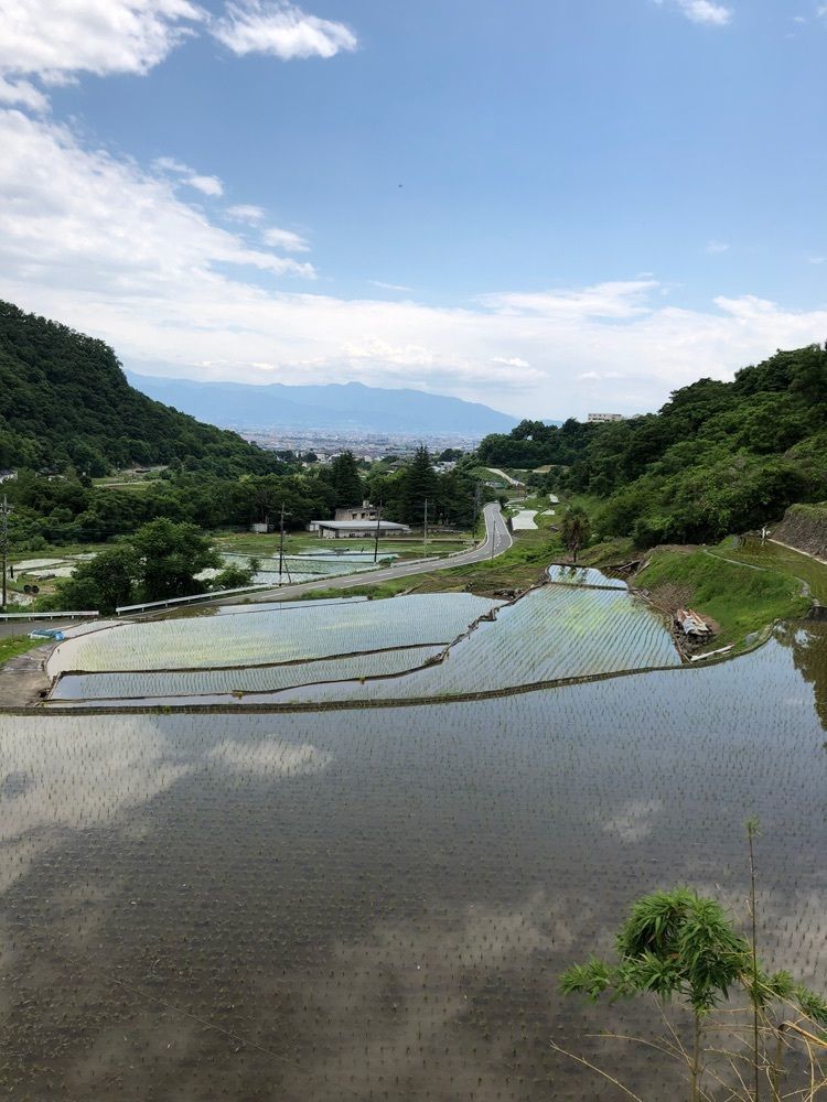 Nさんが投稿したしを里に関する口コミの画像