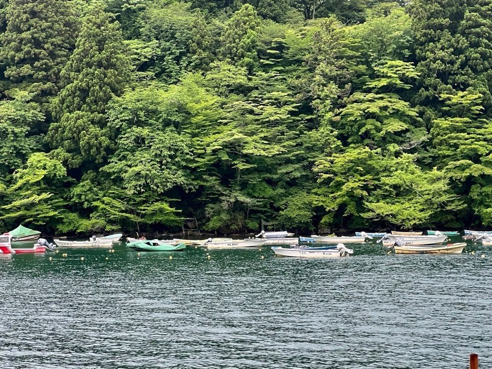 ビンカさんが投稿した箱根旧街道杉並木に関する口コミの画像