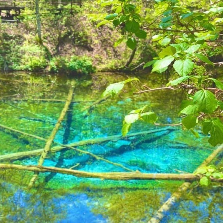 ＤＪゴン太さんが投稿した神の小池に関する口コミの画像