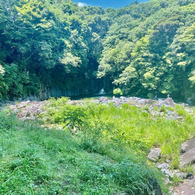 RIMさんが投稿した屏風岩（静岡県裾野市）に関する口コミの画像