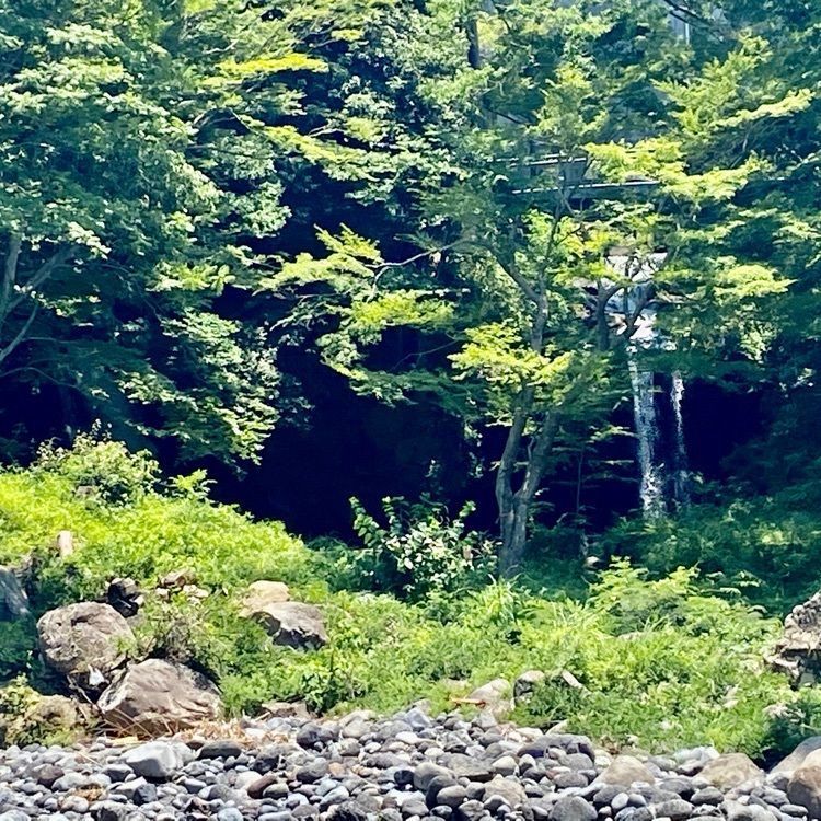 RIMさんが投稿した五竜の滝に関する口コミの画像