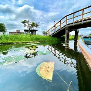 水郷佐原あやめパーク