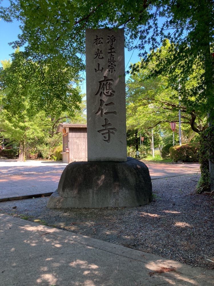 なおなおさんが投稿した油ケ渕遊園地に関する口コミの画像