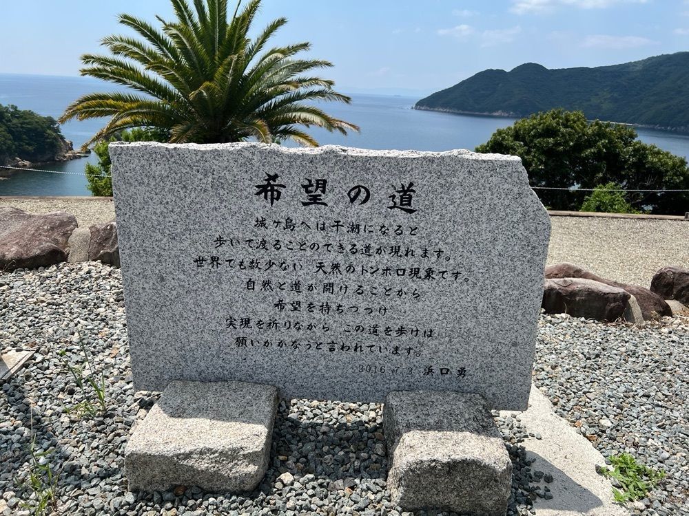 surumeさんが投稿した明南海岸（南風台付近）に関する口コミの画像
