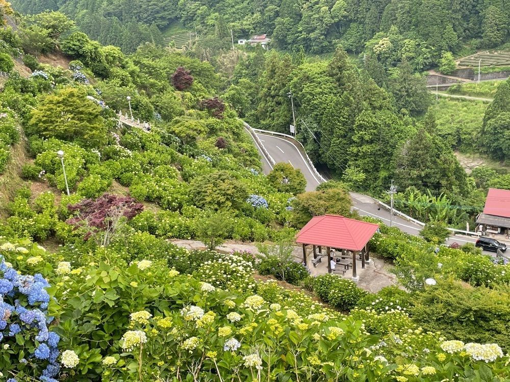 みぃさんが投稿したあじさい茶屋に関する口コミの画像