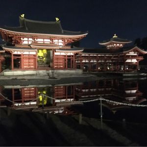 平等院のふじ