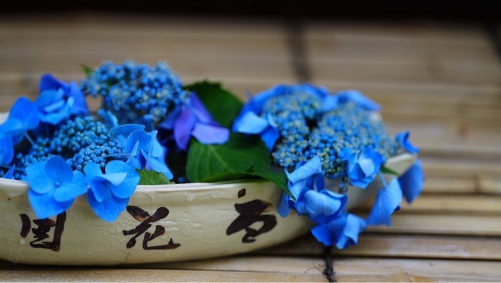 jamesさんが投稿した向島百花園に関する口コミの画像