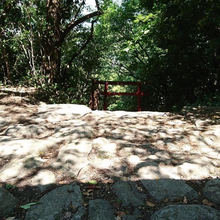 ＤＪゴン太さんが投稿した柏原渓谷自然歩道に関する口コミの画像