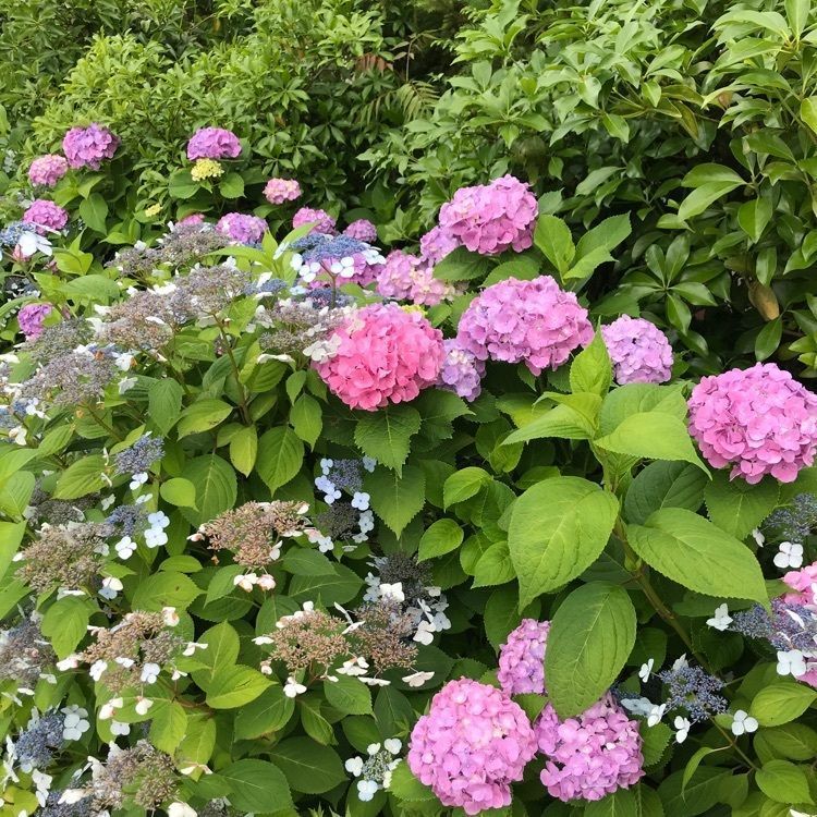 NBR OTさんが投稿した生源寺に関する口コミの画像