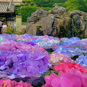 久安寺