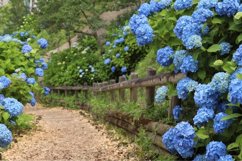 jun1216さんが投稿したセブンイレブン 下仁田インターに関する口コミの画像