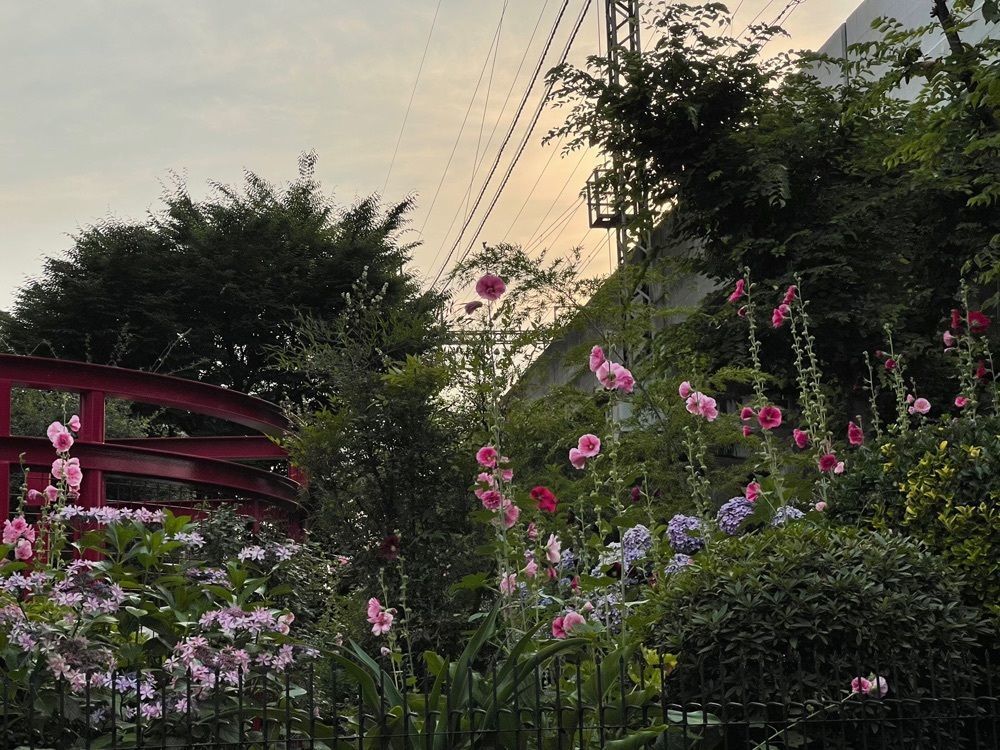 ぺたこ♡さんが投稿したかちがらす 八戸ノ里店に関する口コミの画像